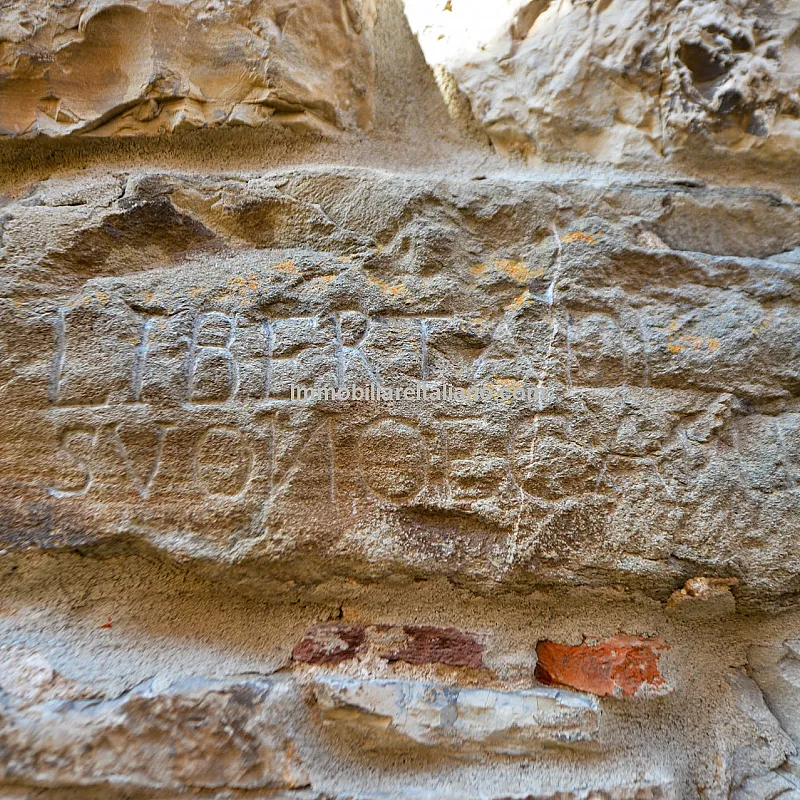 View image 51