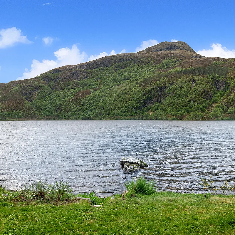 View image 4
