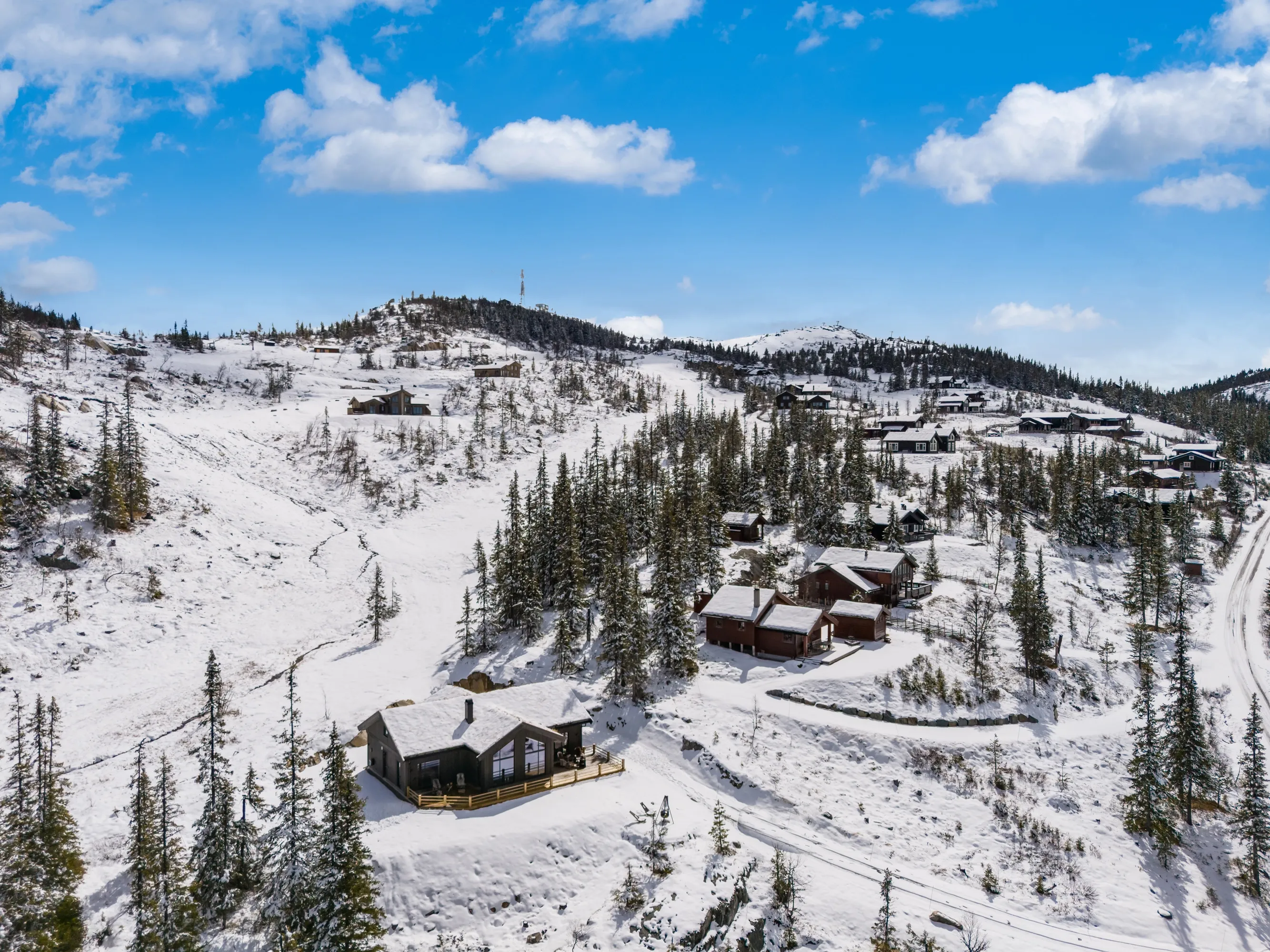 Modern 4-Bedroom Cabin in Nesbyen with Expansive Garden and Parking - Image 2