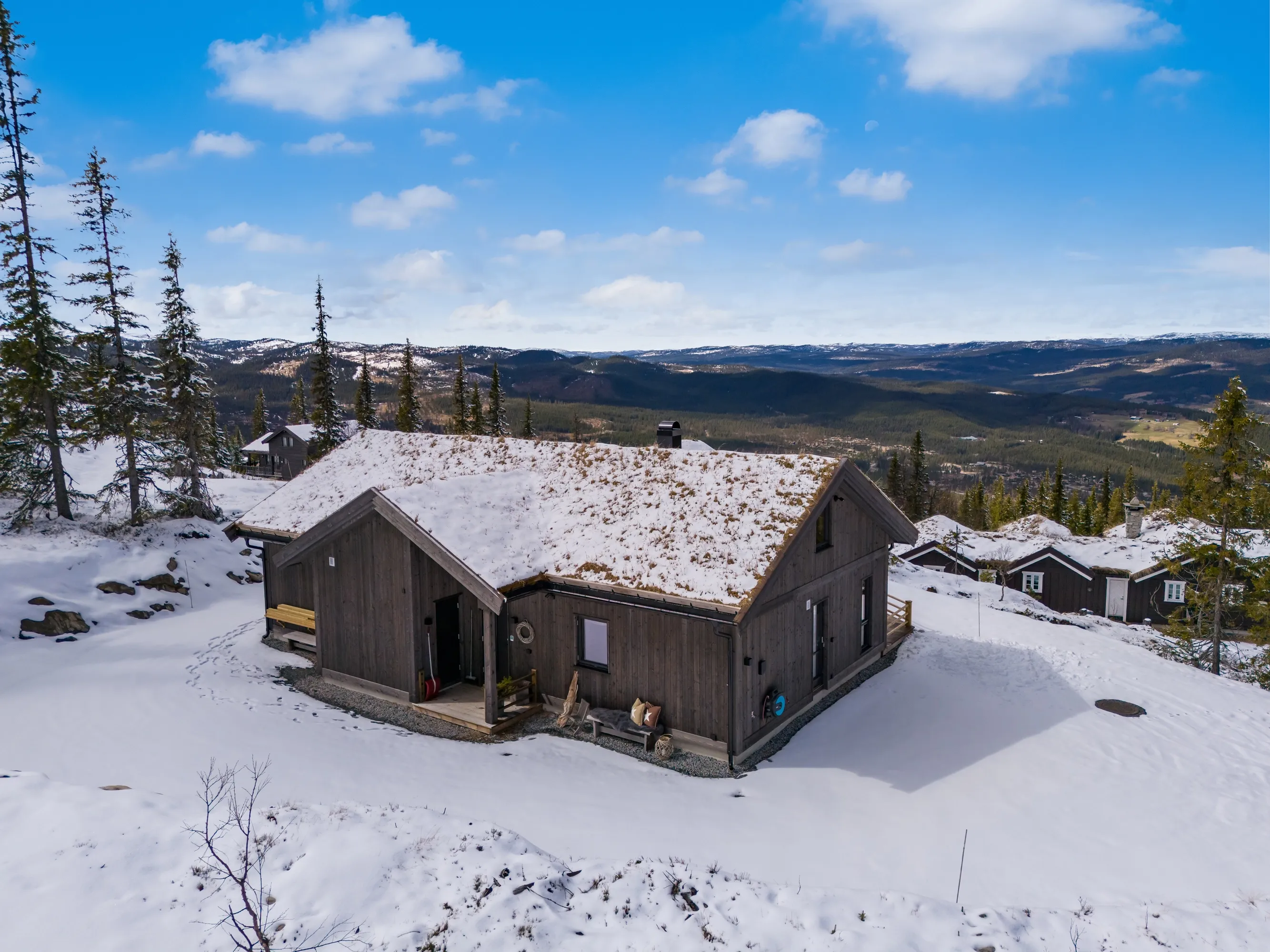 Modern 4-Bedroom Cabin in Nesbyen with Expansive Garden and Parking - View image 6 of 70