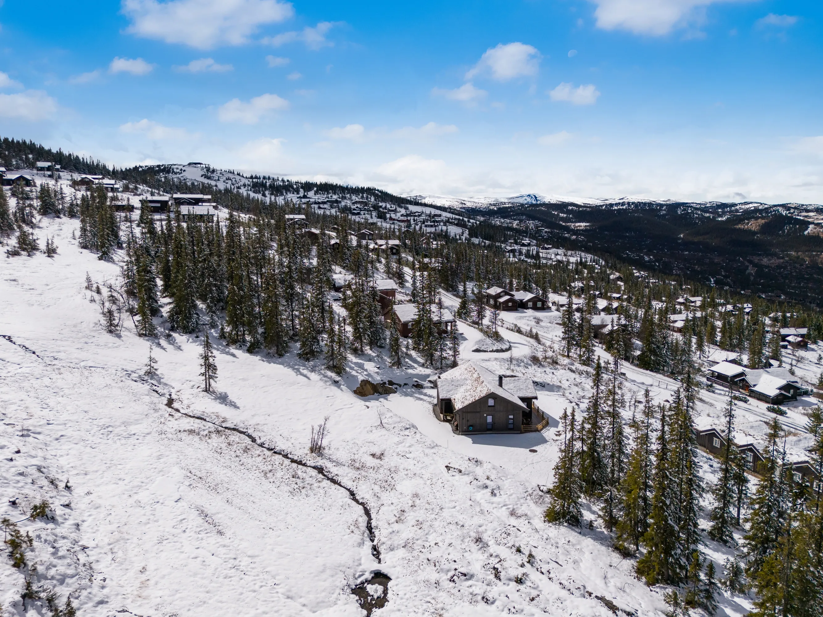 Modern 4-Bedroom Cabin in Nesbyen with Expansive Garden and Parking - View image 68 of 70