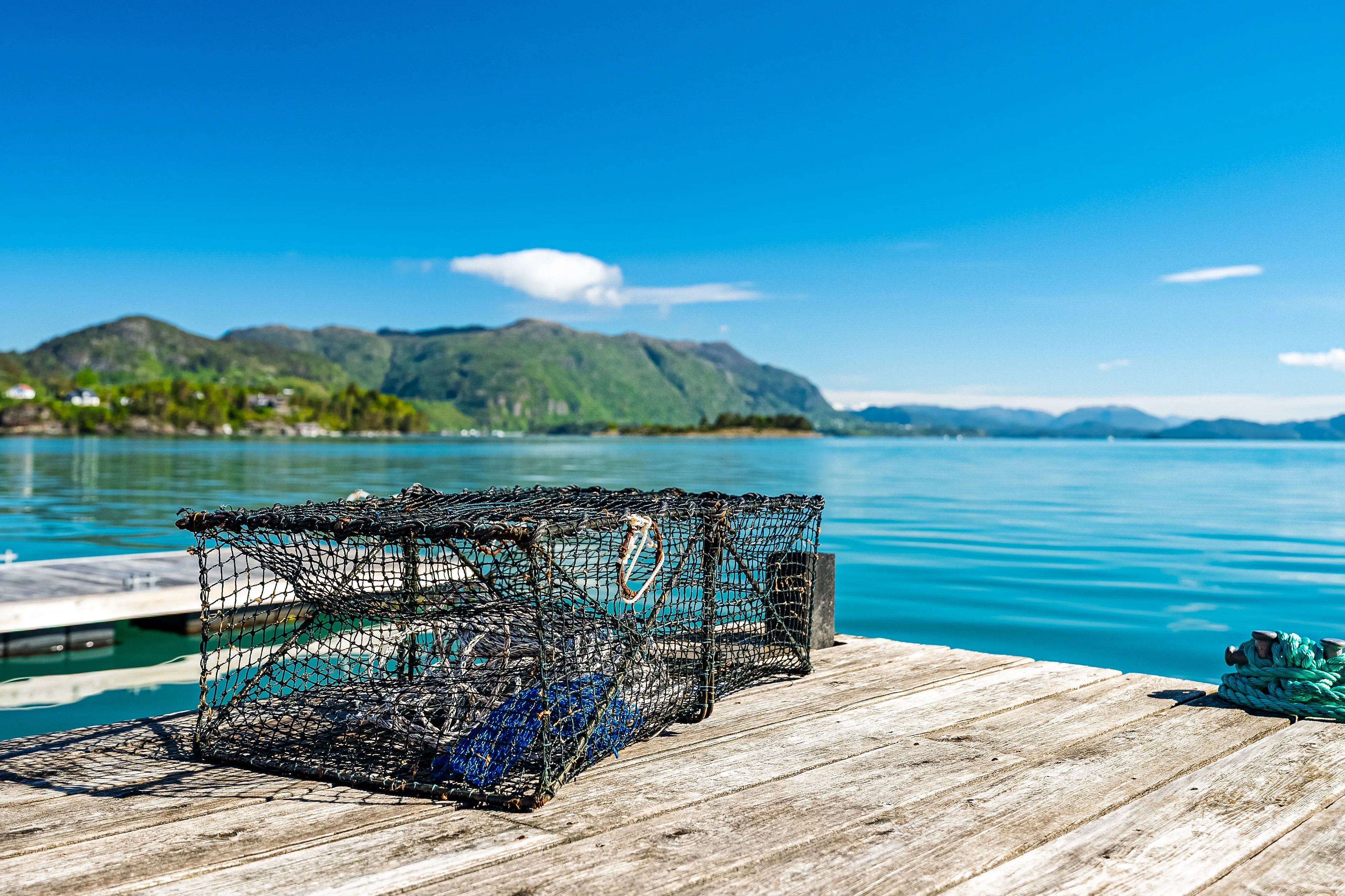Norwegian Fjord Cabin with Boathouse and Expansive Terrace - View image 55 of 62