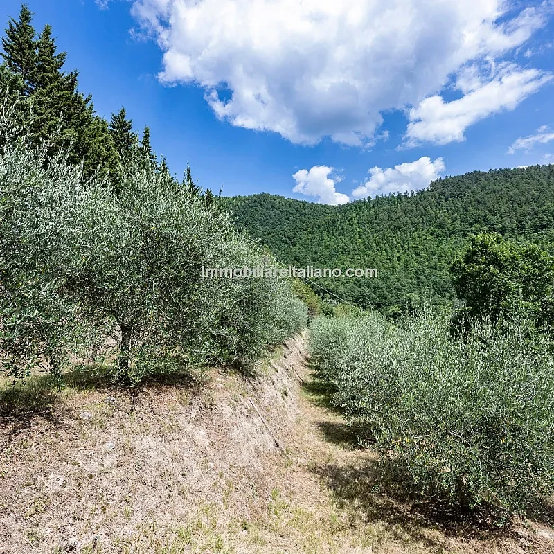 View image 8