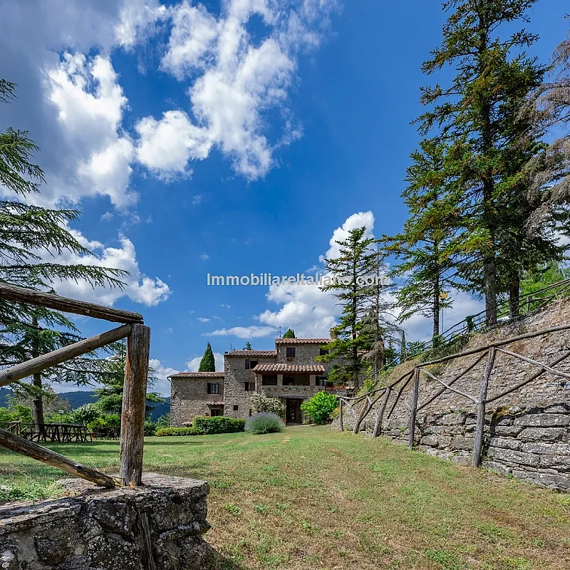 View image 9