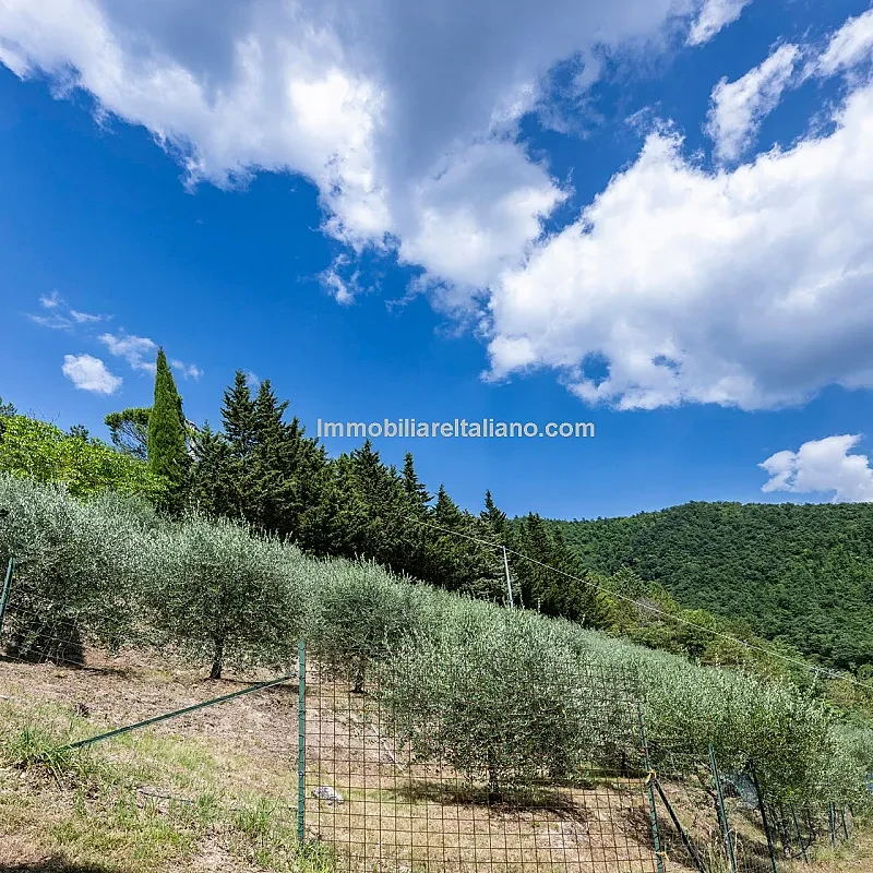 View image 10