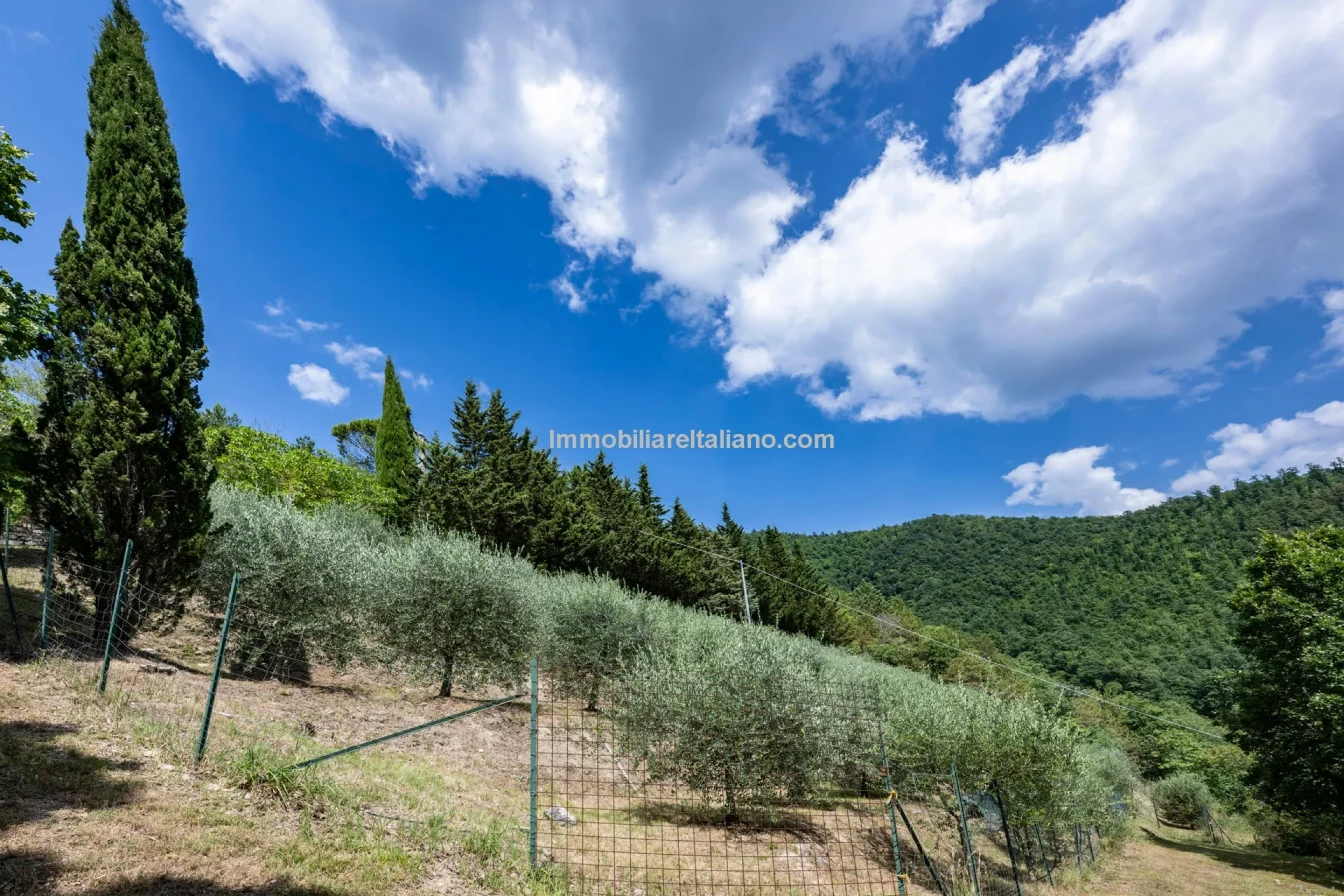 8-Bedroom Tuscan Farmhouse with Olive Grove in Sansepolcro, Arezzo - View image 10 of 62