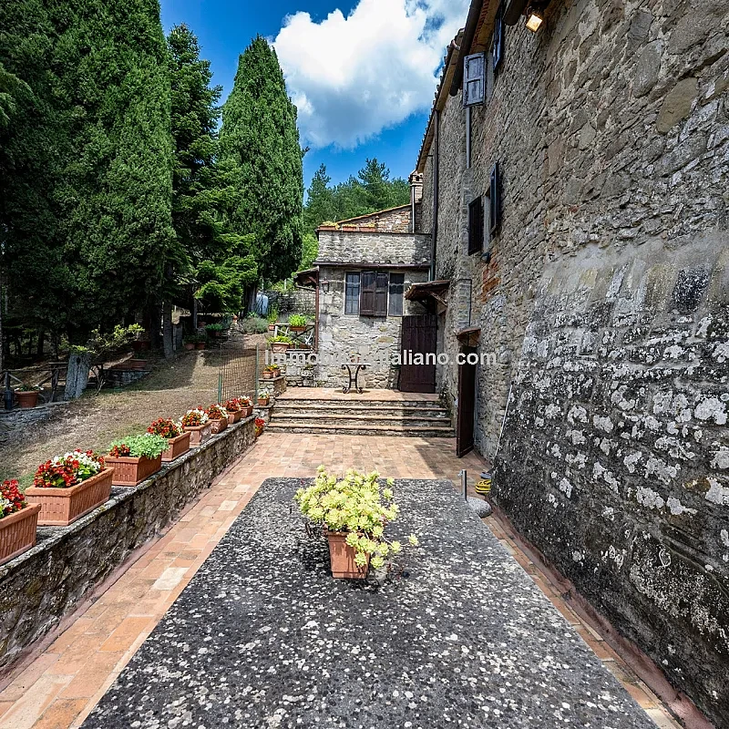 View image 11