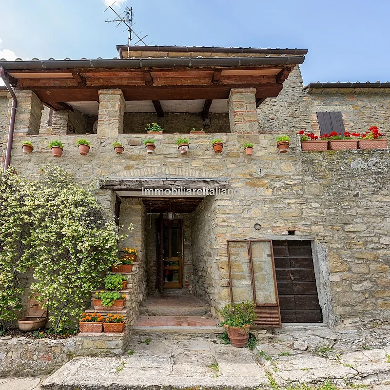 View image 12