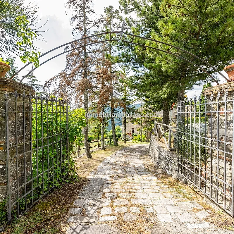 View image 13
