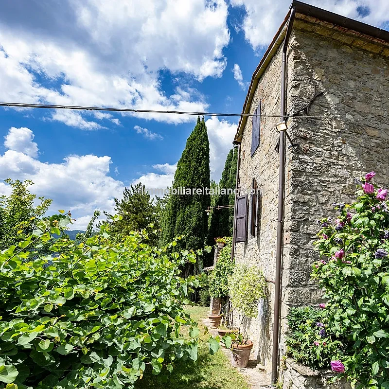 View image 16