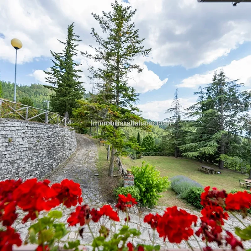 View image 24