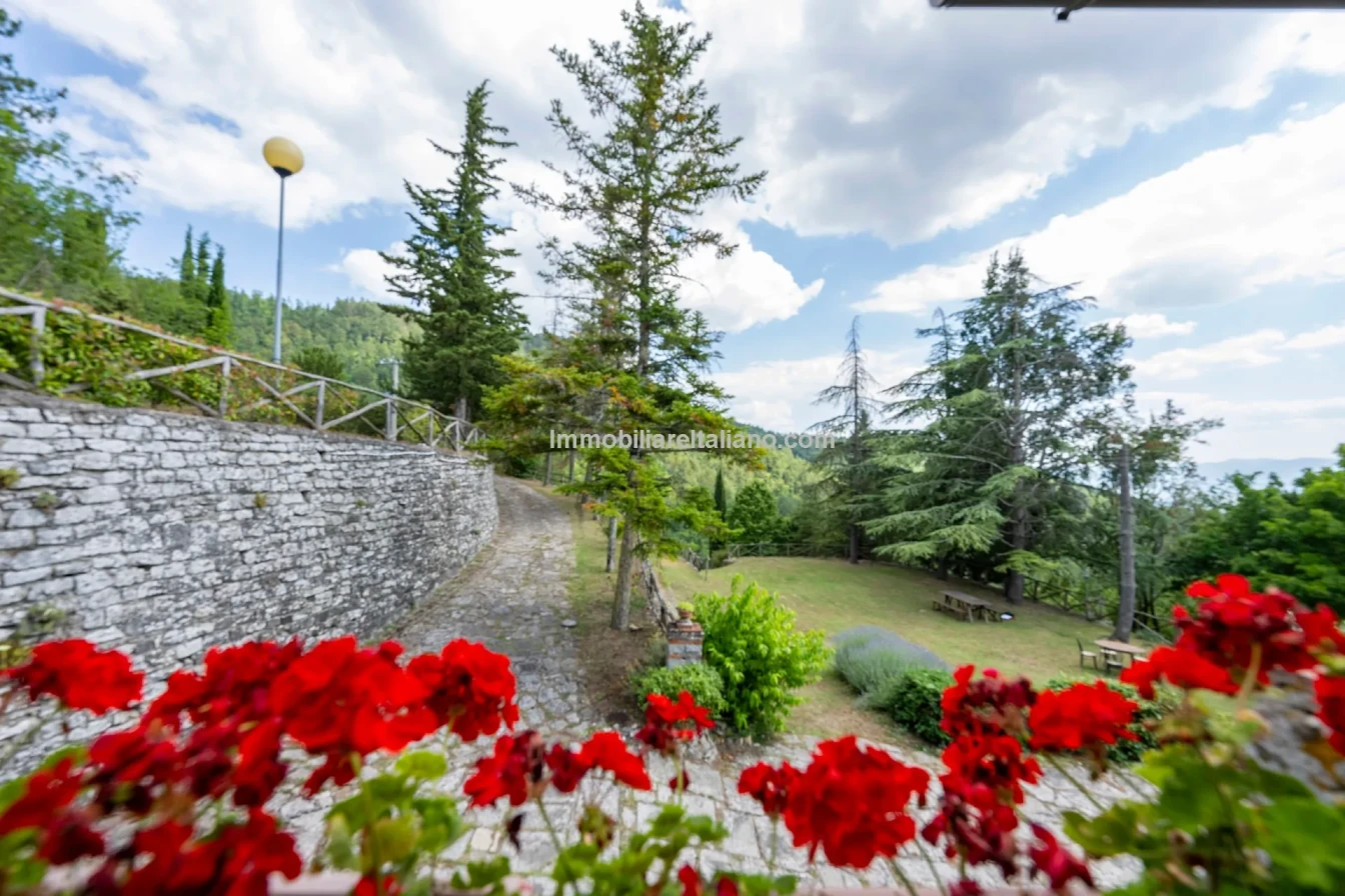 8-Bedroom Tuscan Farmhouse with Olive Grove in Sansepolcro, Arezzo - View image 24 of 62