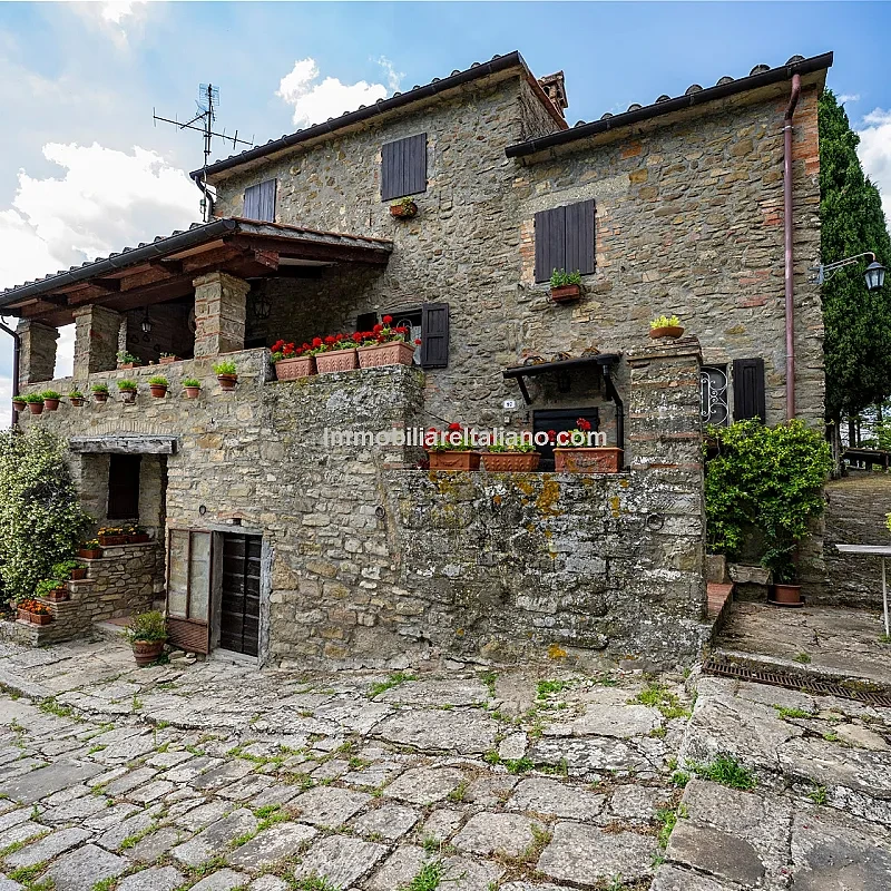 View image 25