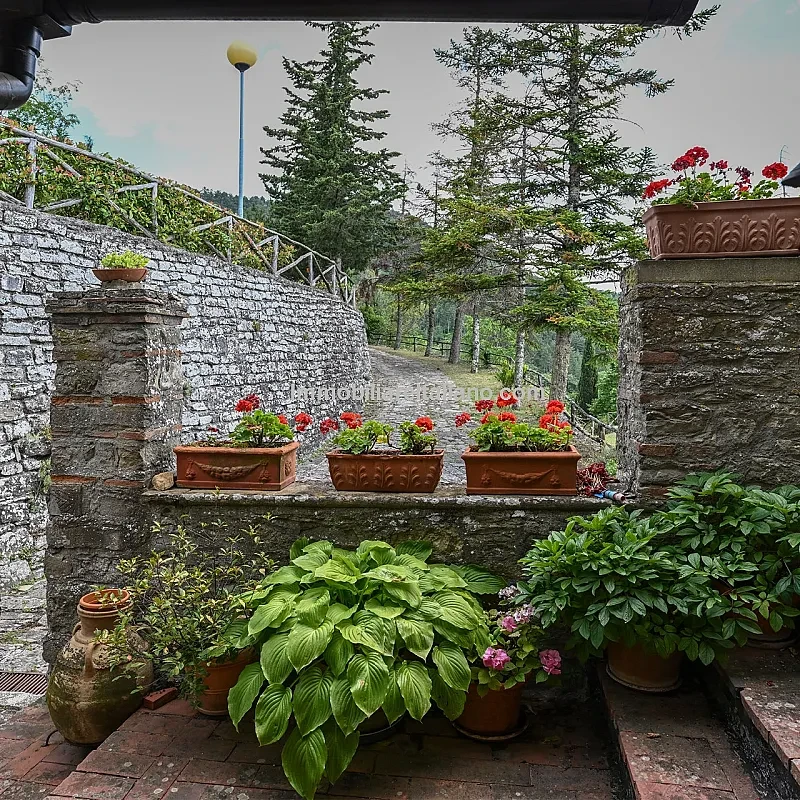 View image 27