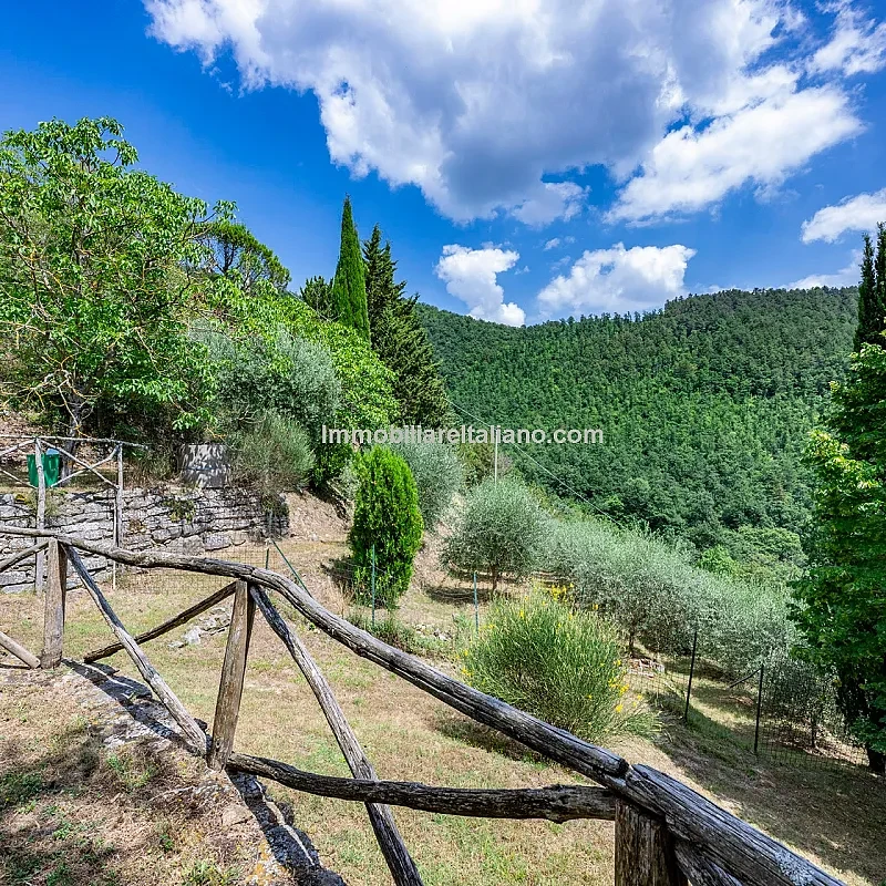 View image 29