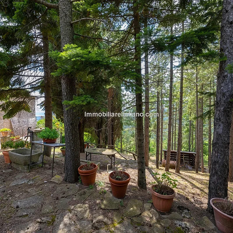 View image 30