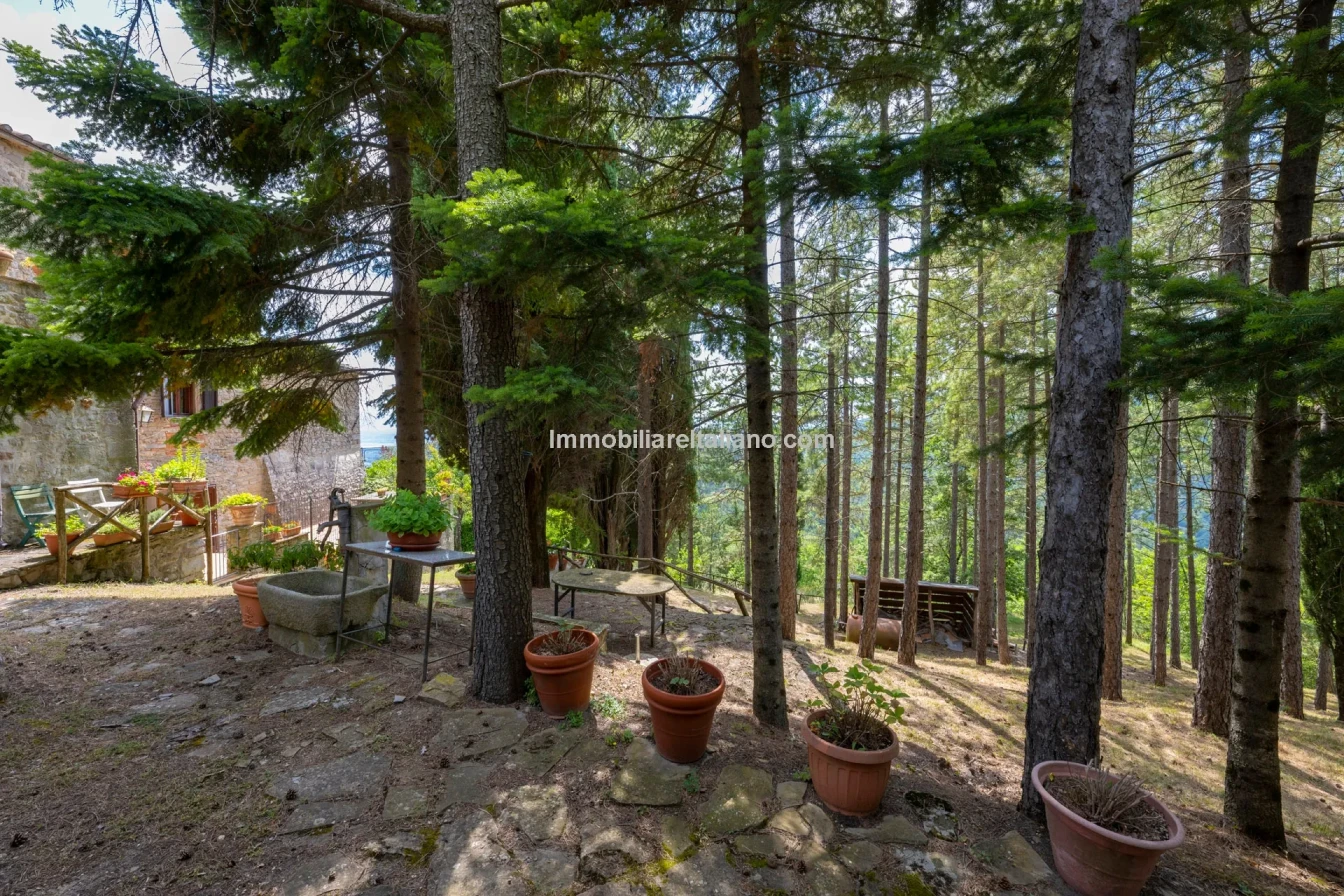 8-Bedroom Tuscan Farmhouse with Olive Grove in Sansepolcro, Arezzo - View image 30 of 62