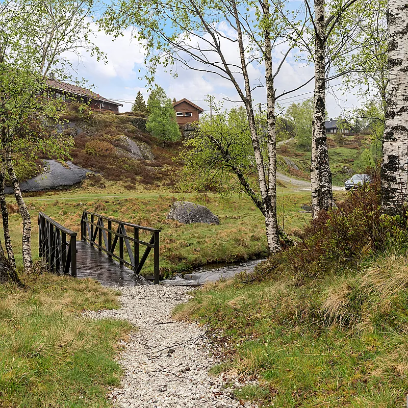 View image 6