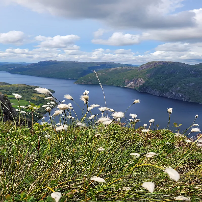 View image 24