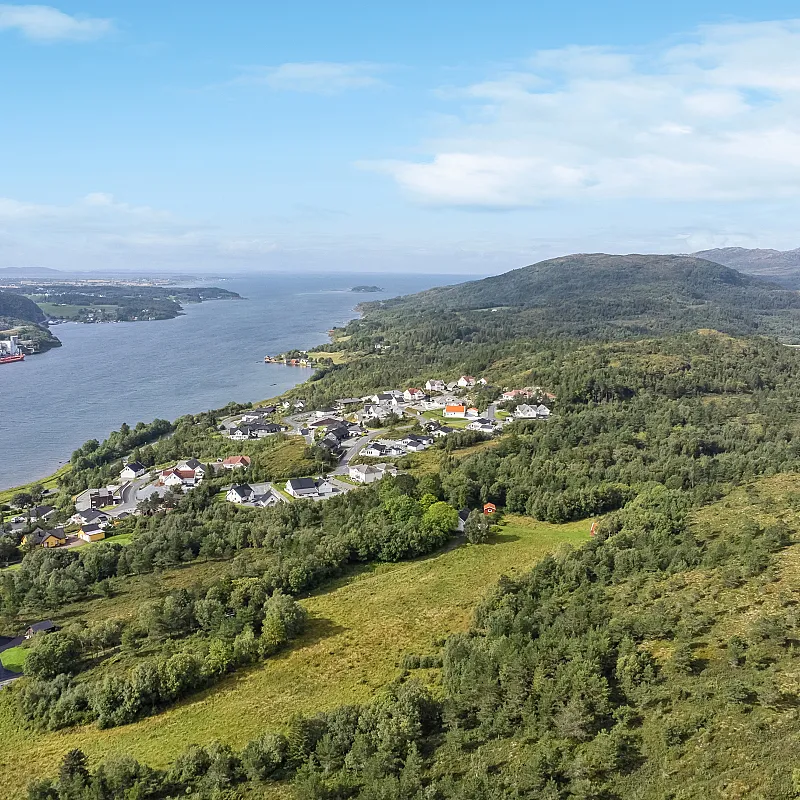 View image 5
