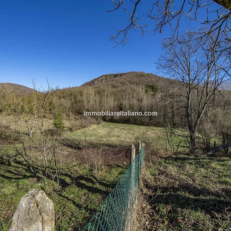 View image 10