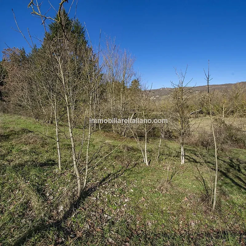 View image 11