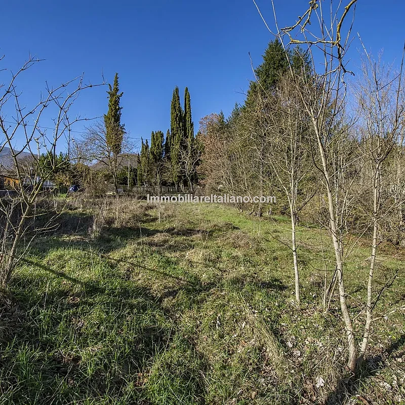 View image 12