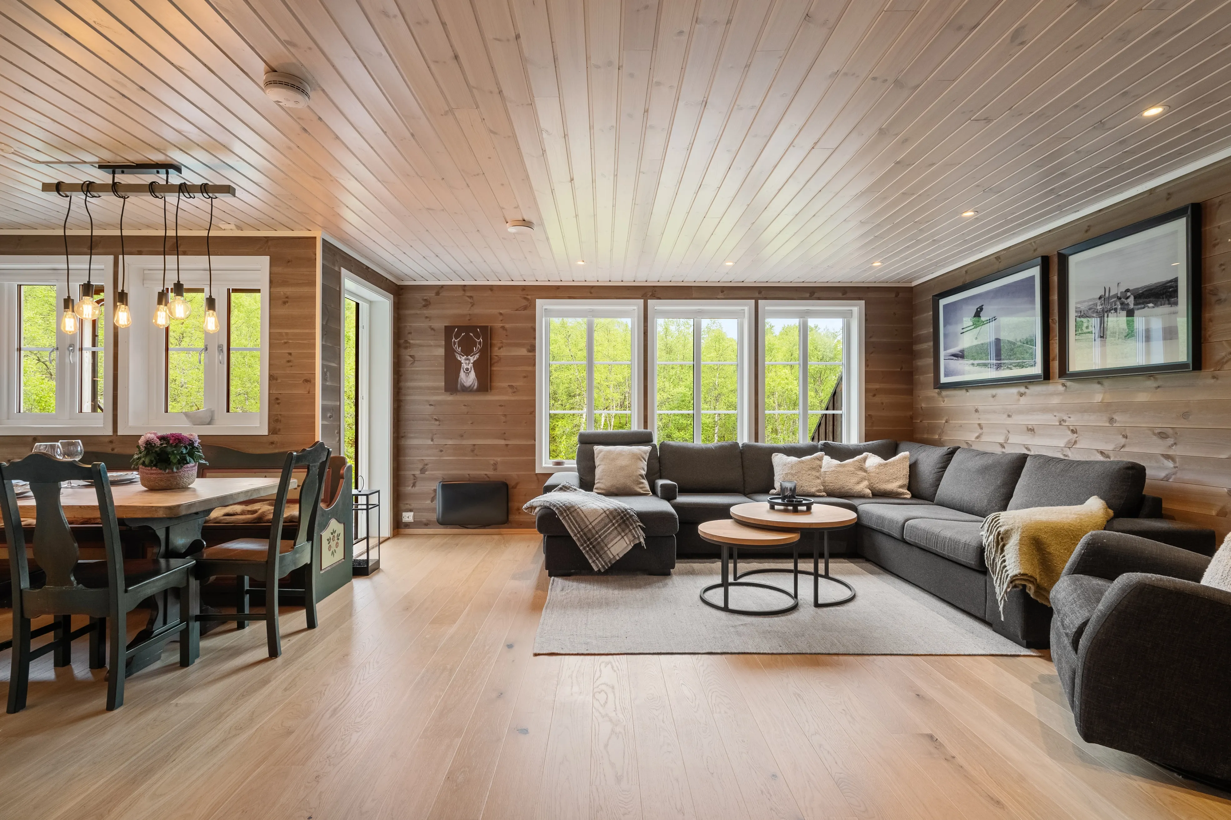 Contemporary 4-Bedroom House with Spacious Terrace in Sirdal, Norway - Image 5