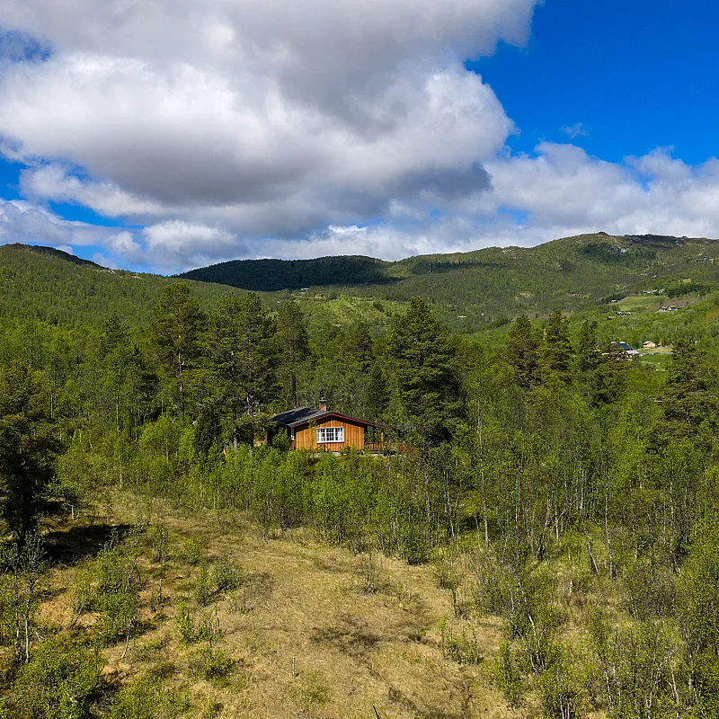 View image 21