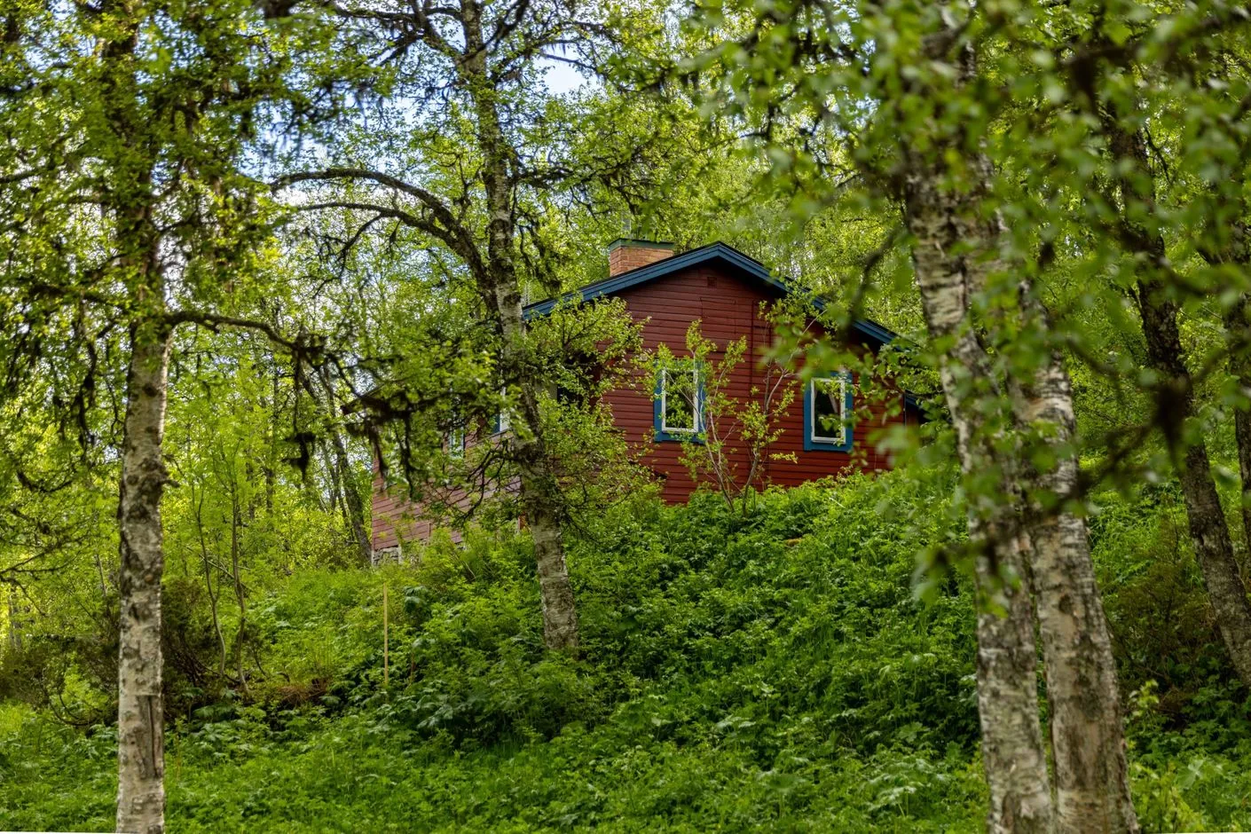 1960s Swedish Country House with Expansive Grounds in Bruksvallarna - View image 17 of 26