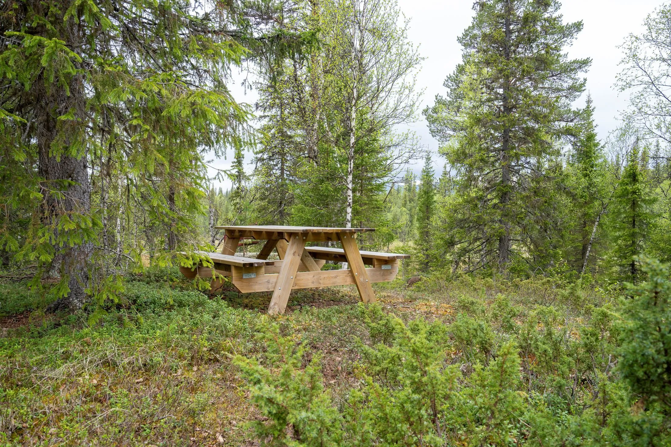 Charming 1995 Swedish Country House with Terrace in Scenic Dikanäs - View image 15 of 23
