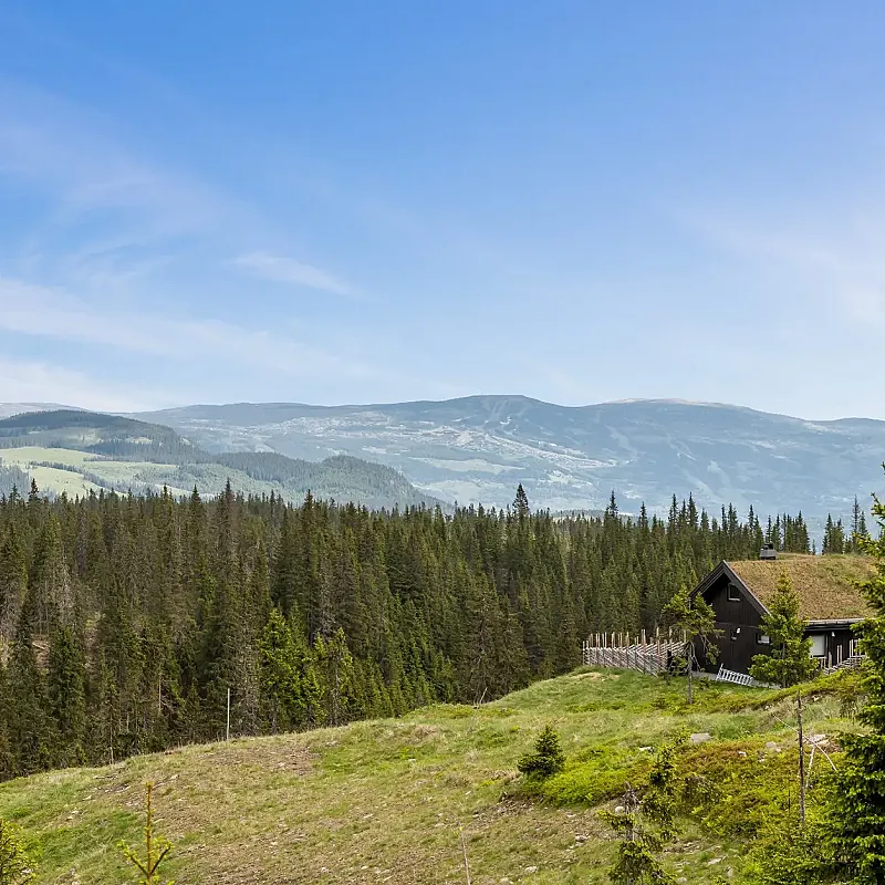 View image 3
