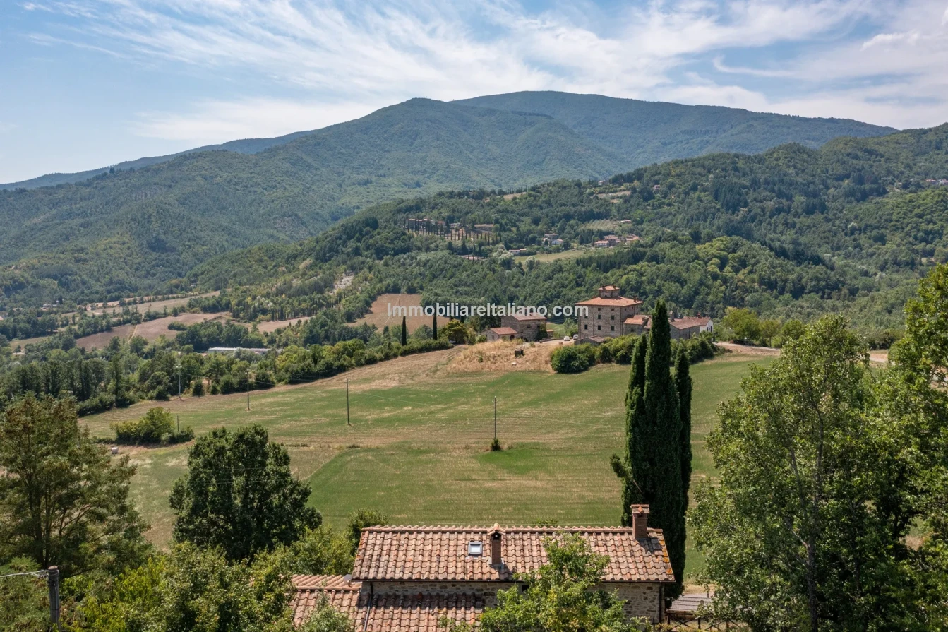 Ferme restaurée de 3 chambres avec piscine dans la région de Caprese Michelangelo en Toscane - Voir l'image 10 sur 85