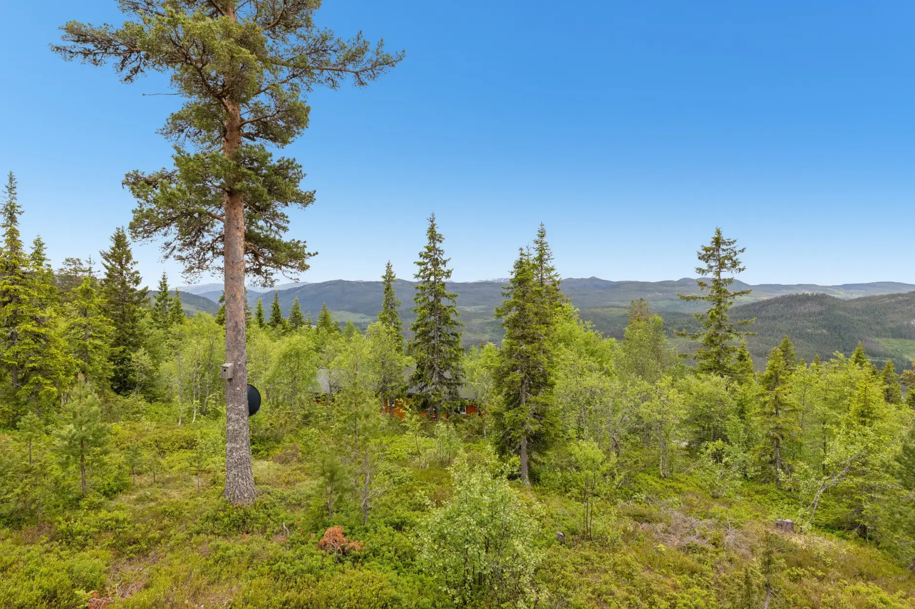 Norwegian Cabin with Expansive Terrace and Open-Plan Living in Tuddal - View image 33 of 33