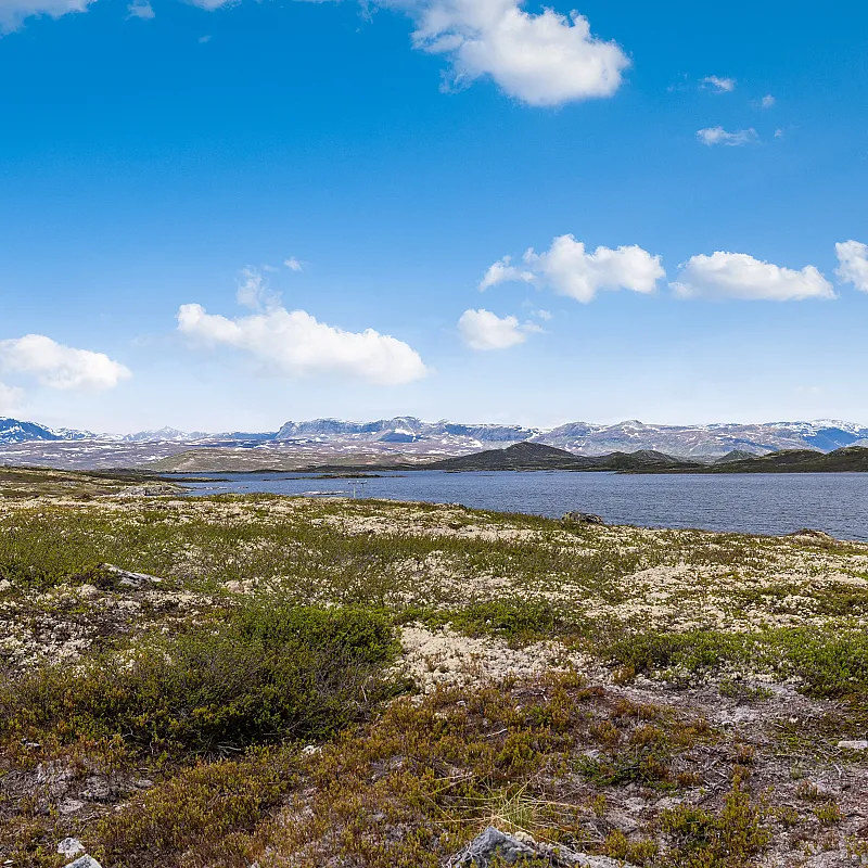 View image 35