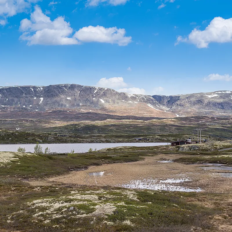 View image 50