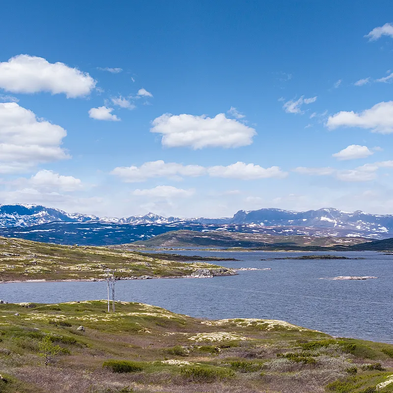 View image 52