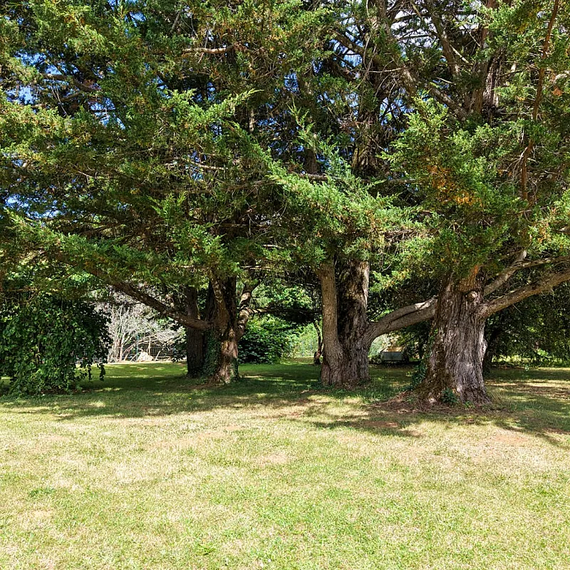 View image 18