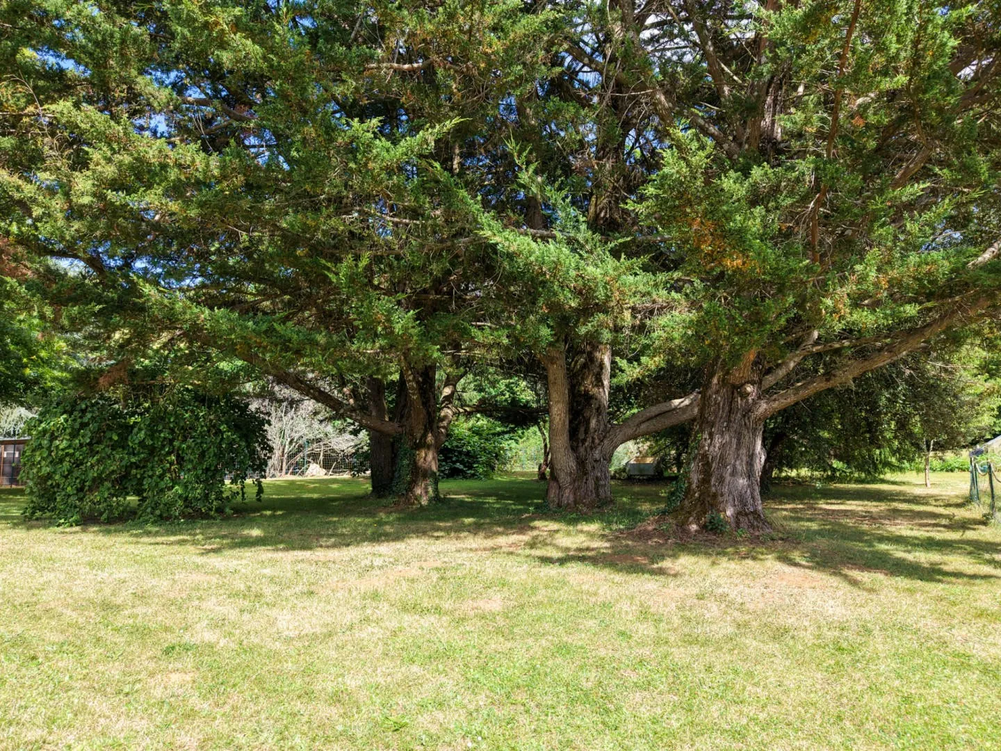 Victorian Farmhouse in Gourdon with Expansive Grounds and 5 Bedrooms - View image 18 of 39