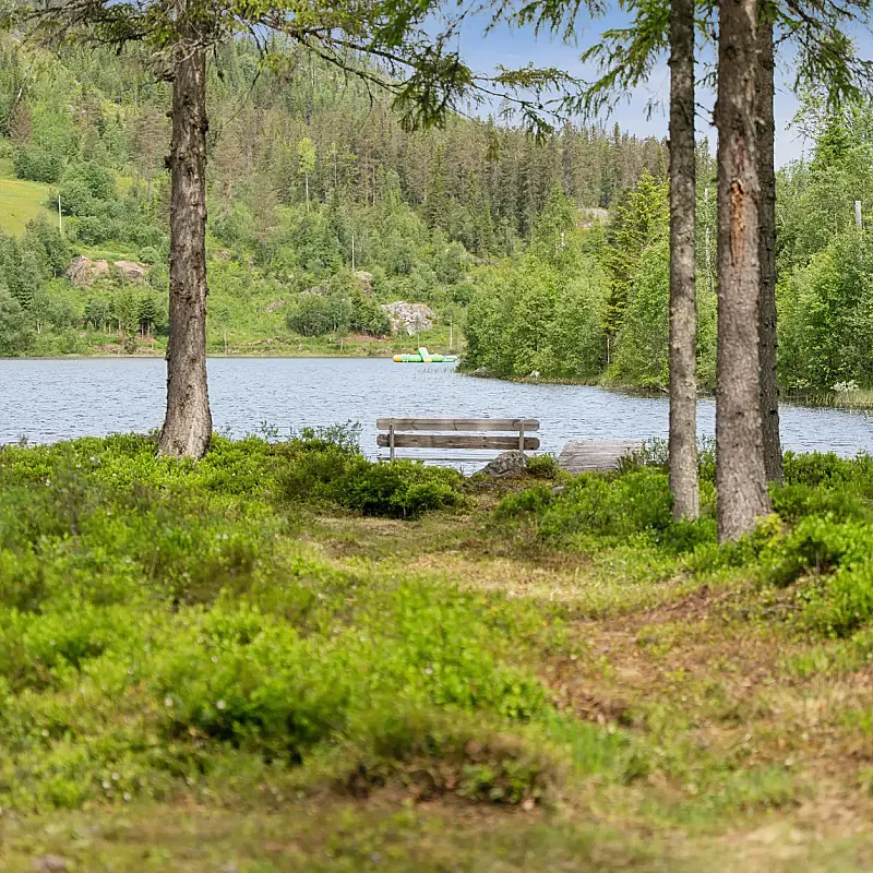View image 5