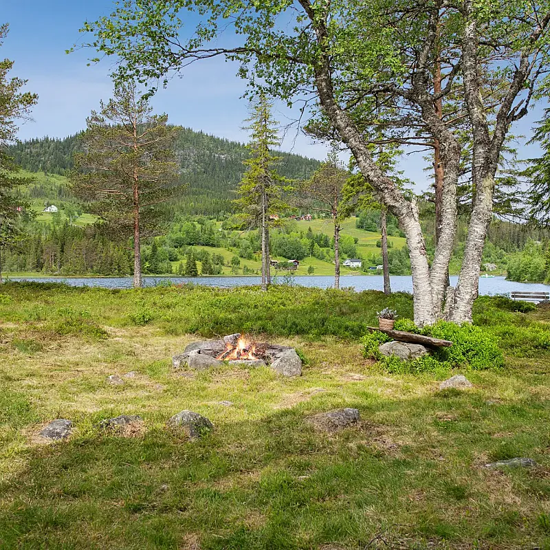 View image 7