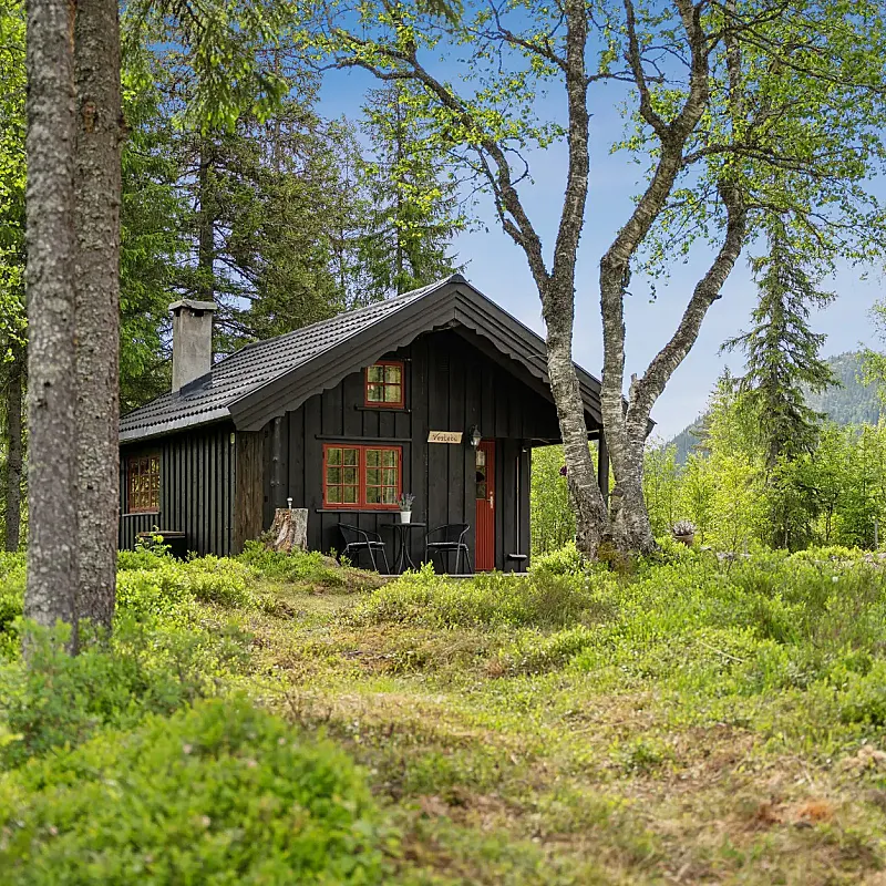 View image 8