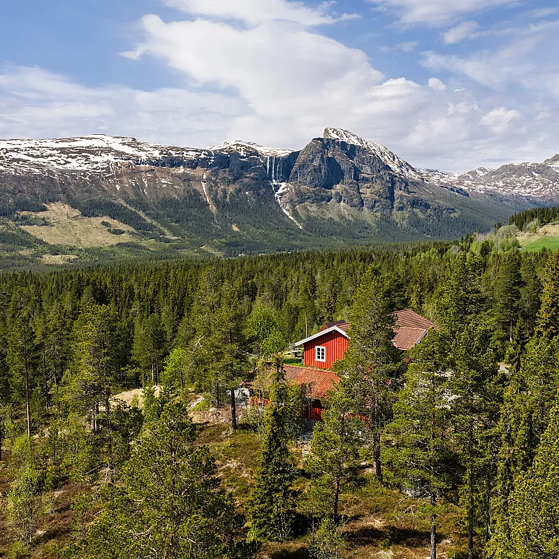 View image 5