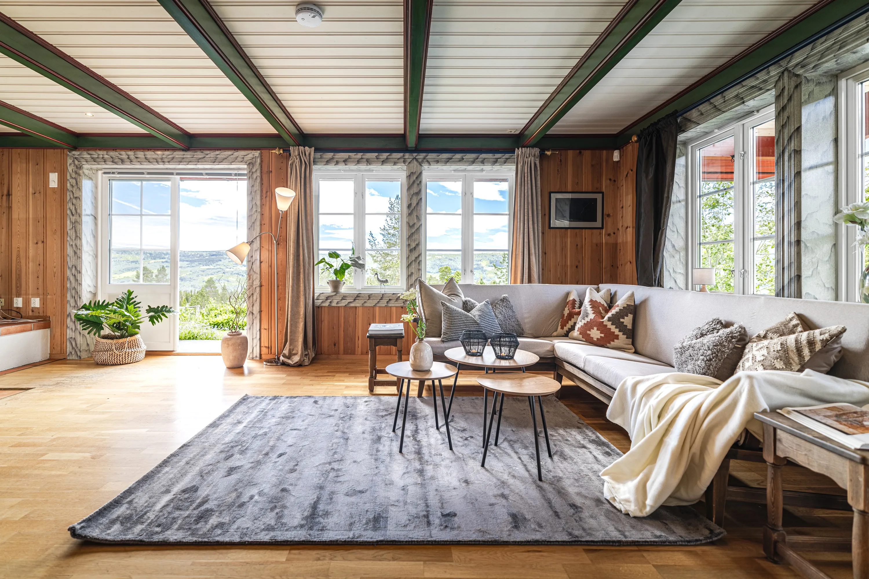 Spacious 3-Bedroom House with Terrace and Garden in Scenic Hemsedal - View image 7 of 25