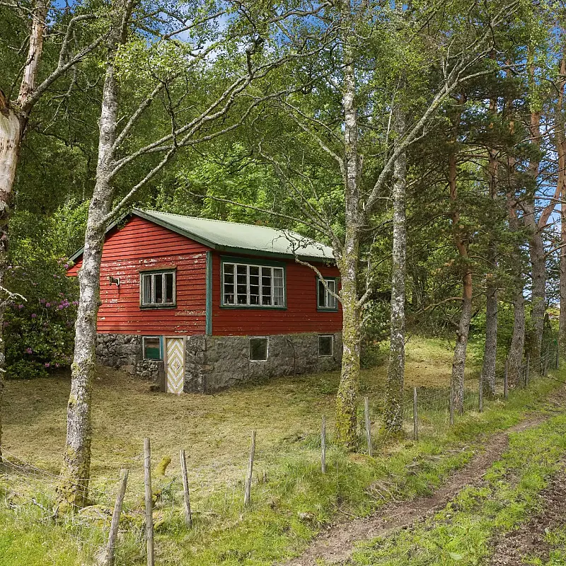 View image 2