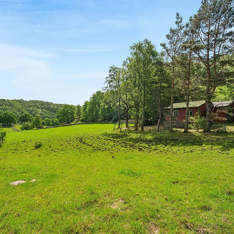 View image 6