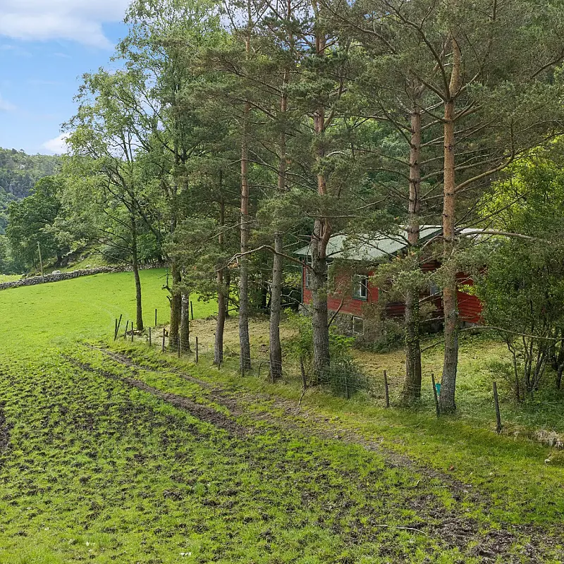 View image 10