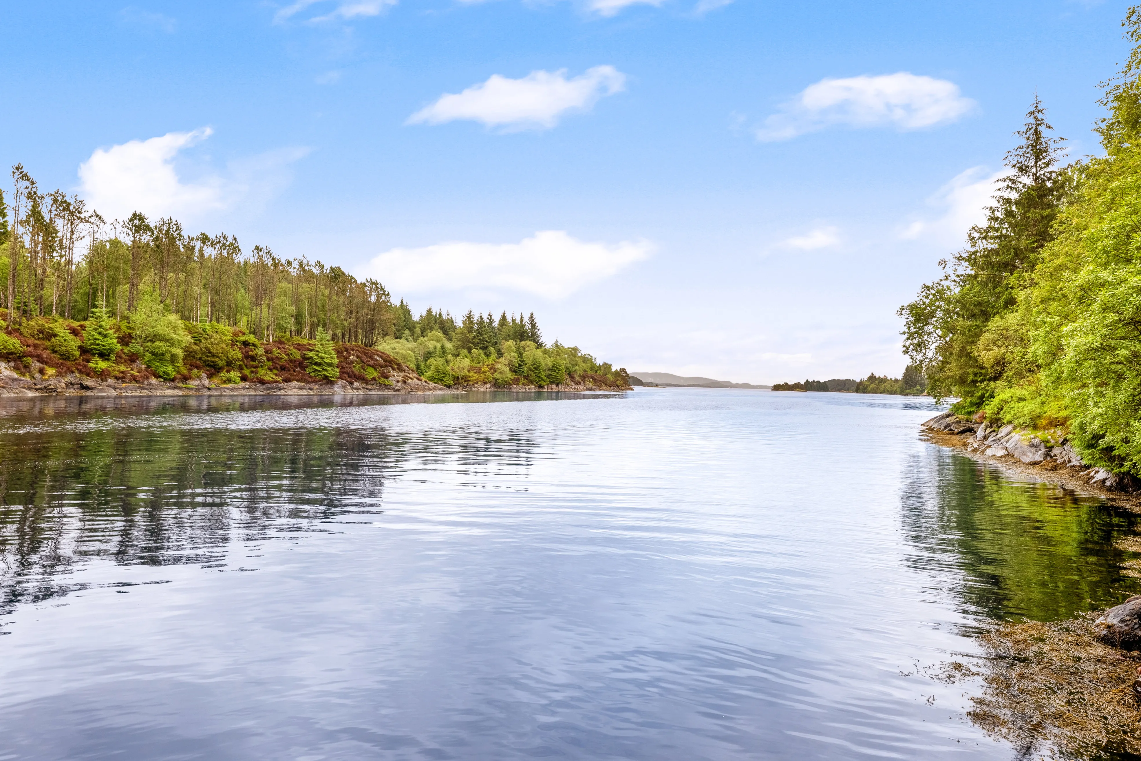 1960s Norwegian Coastal Cabin with Garden and Mooring Potential - View image 31 of 34