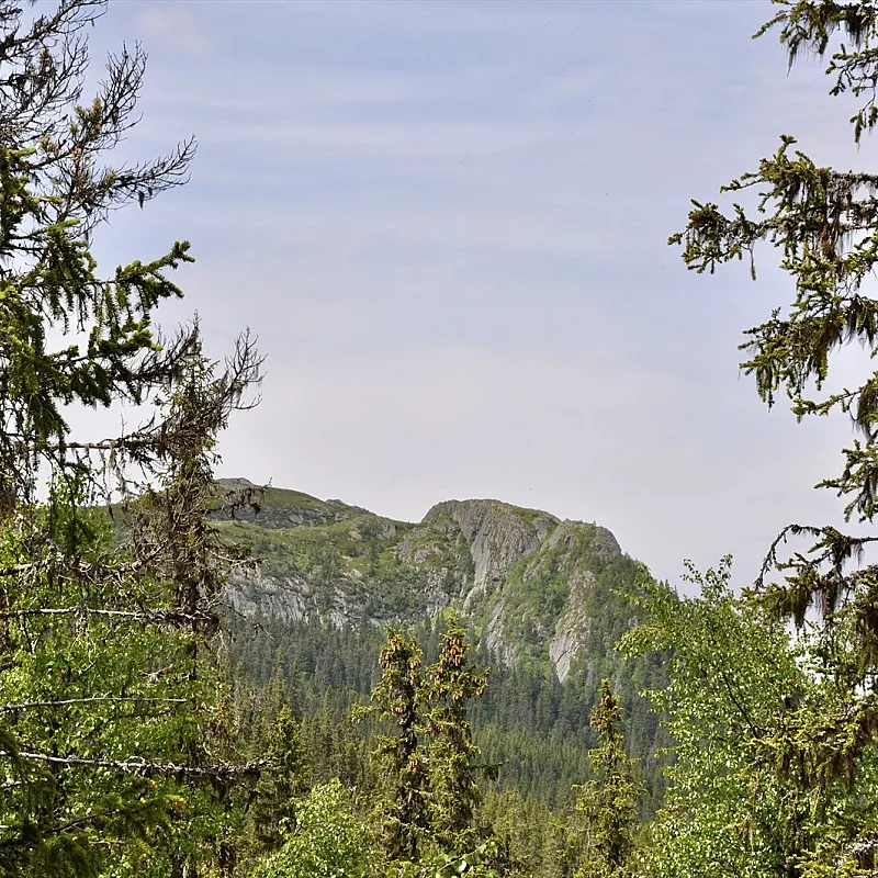 View image 31