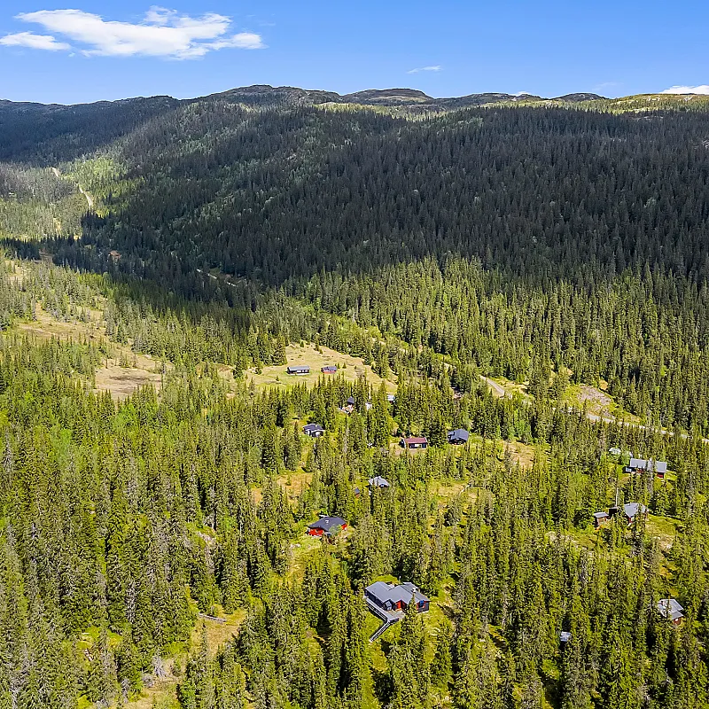 View image 35